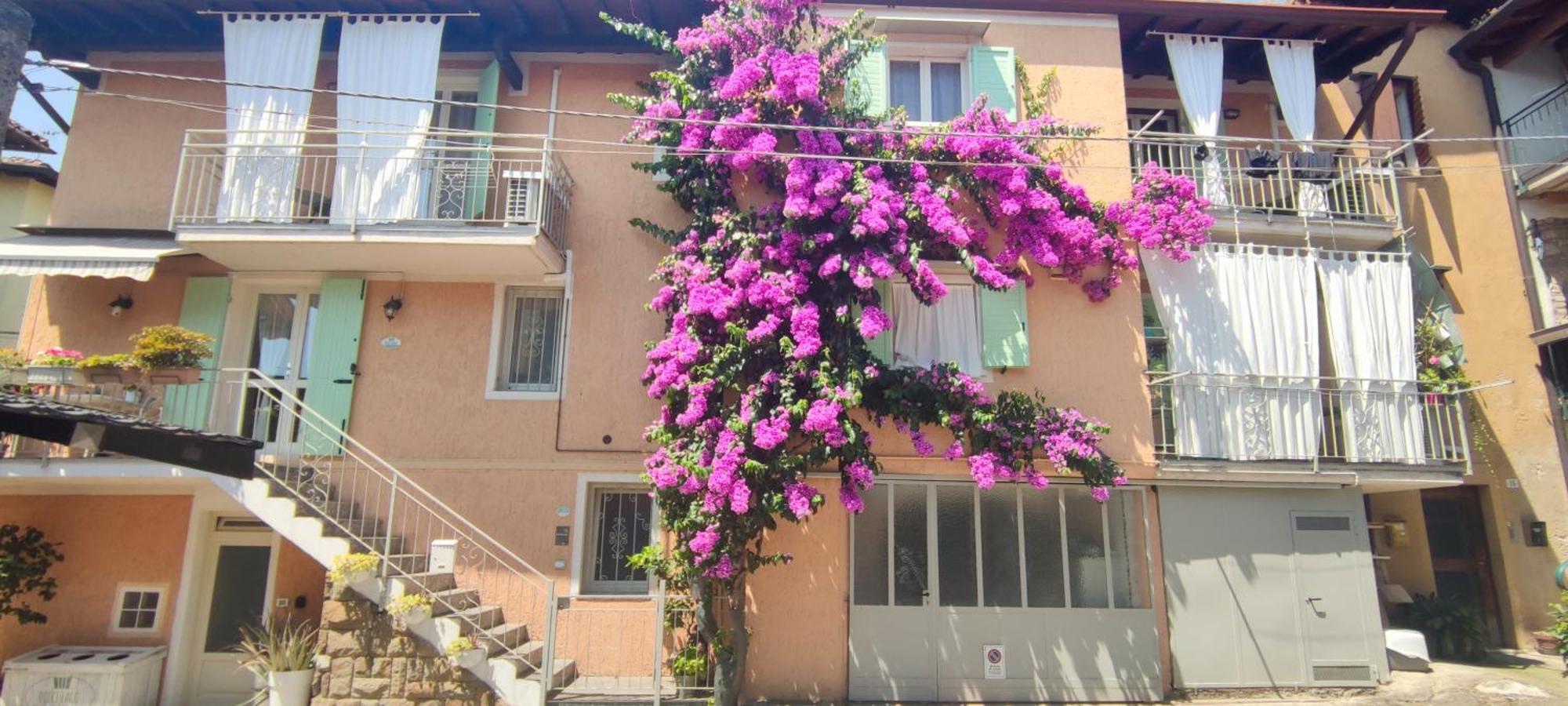 Dolce Lago B&B San Felice del Benaco Buitenkant foto